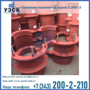 Сальники нажимные серия 5.900-3 в Димитровграде